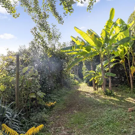 Egner- Apt-bella Ciao By Interhome *