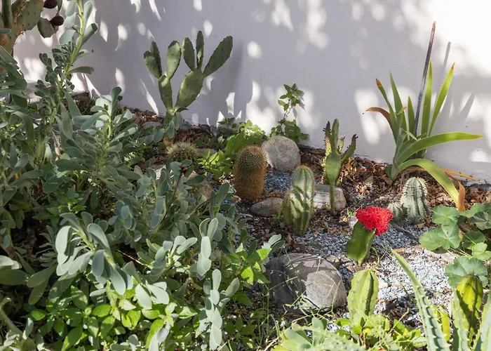 Egner- Apt-bella Ciao By Interhome *