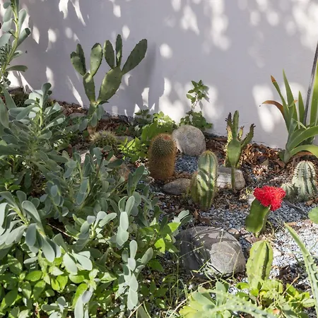 Egner- Apt-bella Ciao By Interhome *